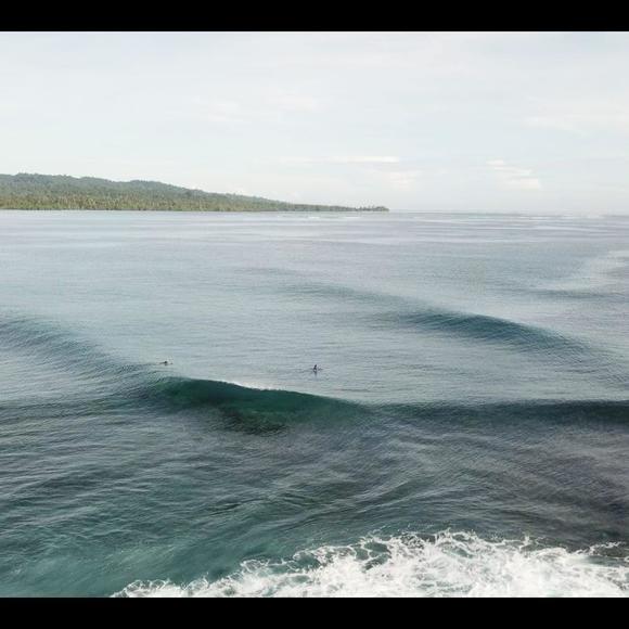 Meet your Posher, Helena - Picture 1 of 1